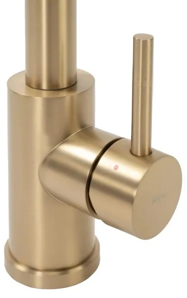 REA-B4821 - Baterie pentru chiuvetă COLIN, cu pulverizator extractibil, 42,5 cm, aur periat