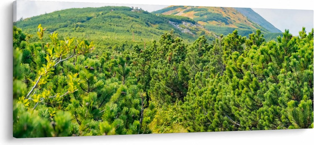 Tablou - Babi Hora, Polonia (120x50 cm)
