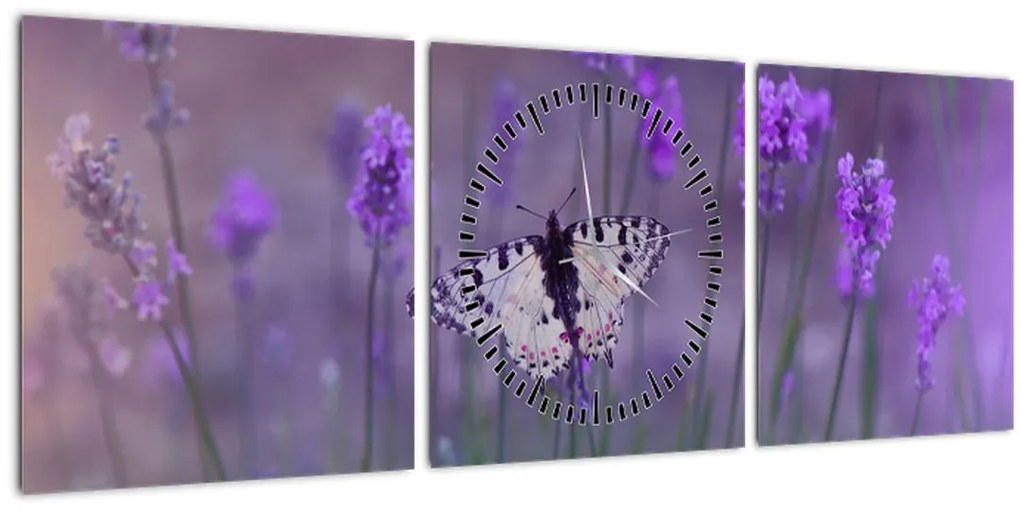 Tablou - fluture în lavandă (cu ceas) (90x30 cm)