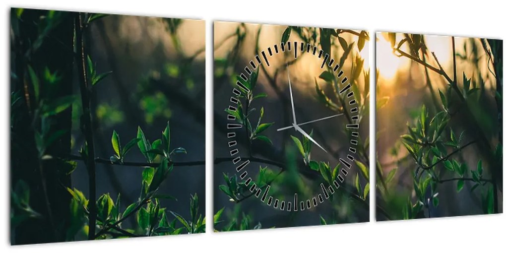 Tablou - Soarele strălucind printre crengile copacilor (cu ceas) (90x30 cm)