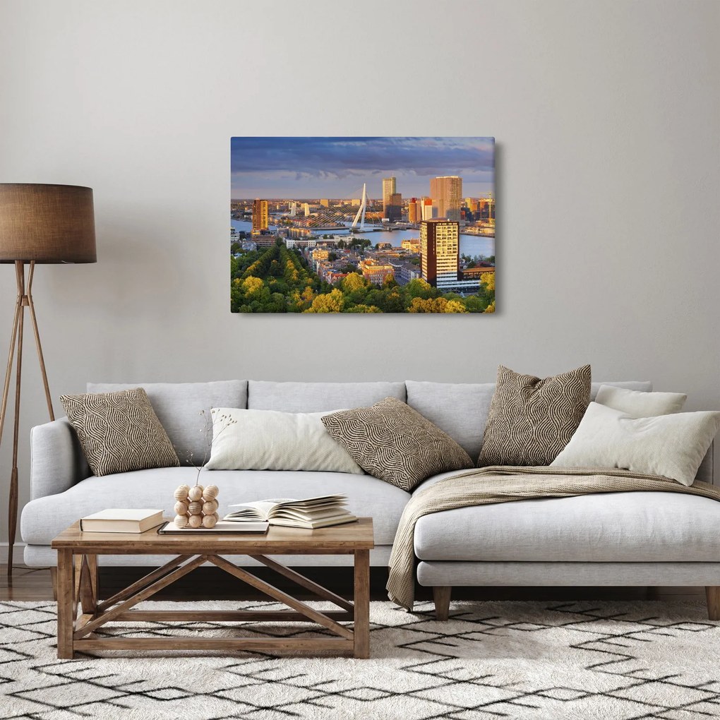 Tablou - Panorama Rotterdamului, Țările de Jos (90x60 cm)