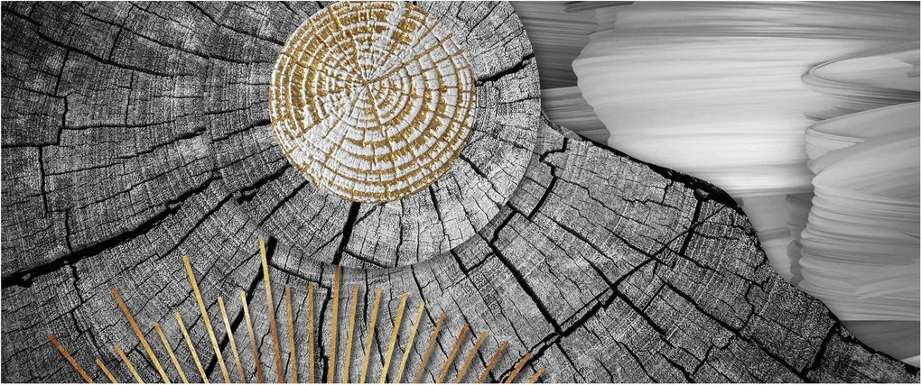 Tablou - Trunchiul copacului colaj (120x50 cm)