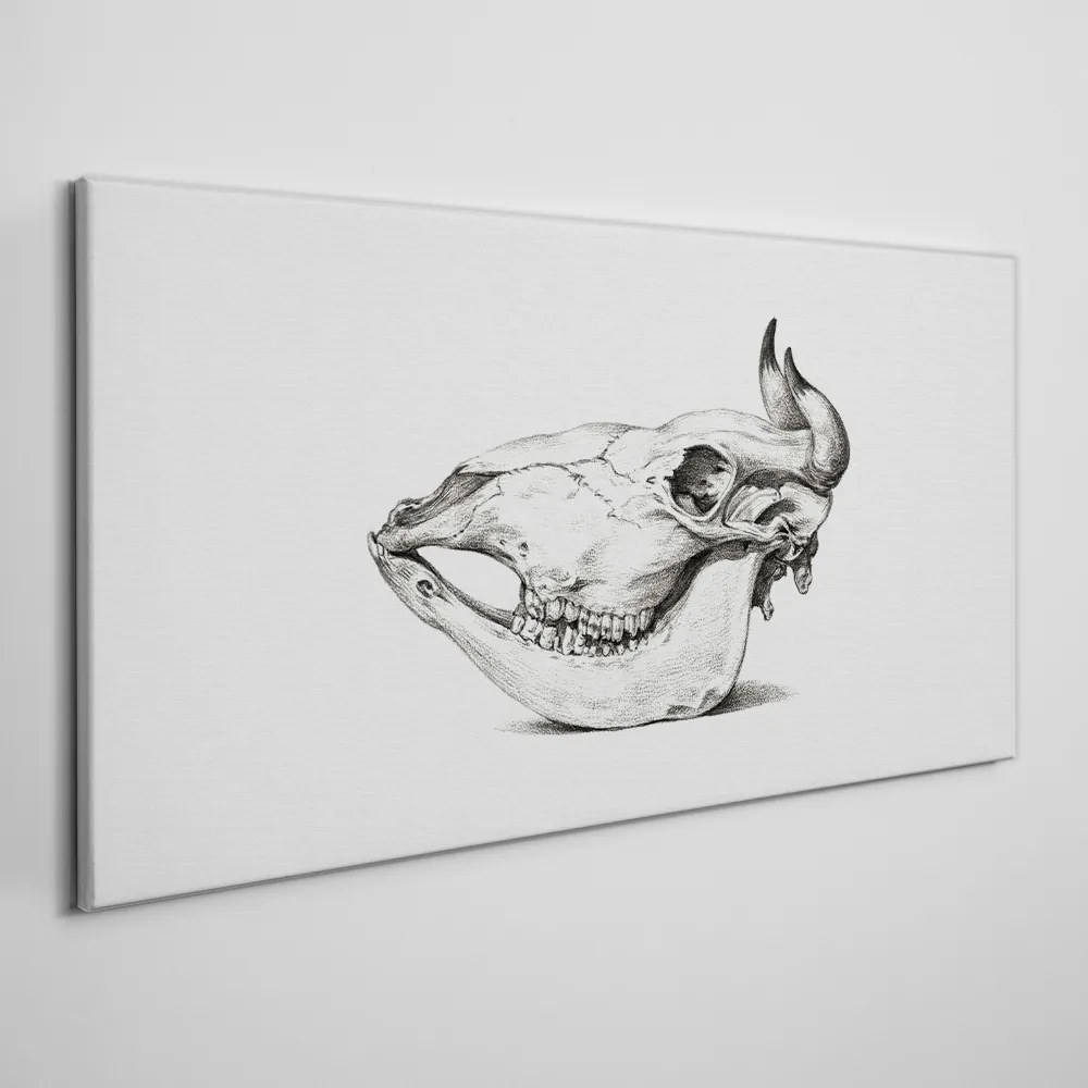 Tablou canvas Desen craniu de vacă