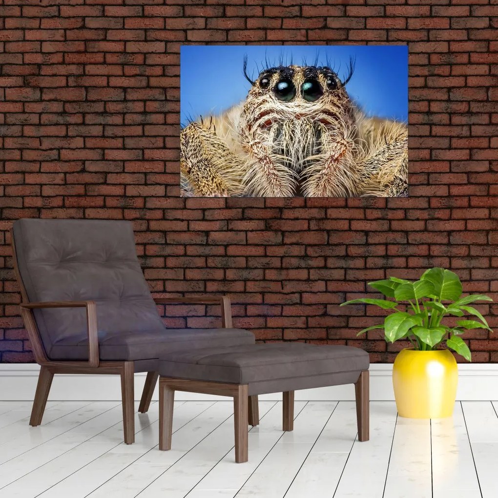 Tablou cu detalii a unui pâianjen (90x60 cm)