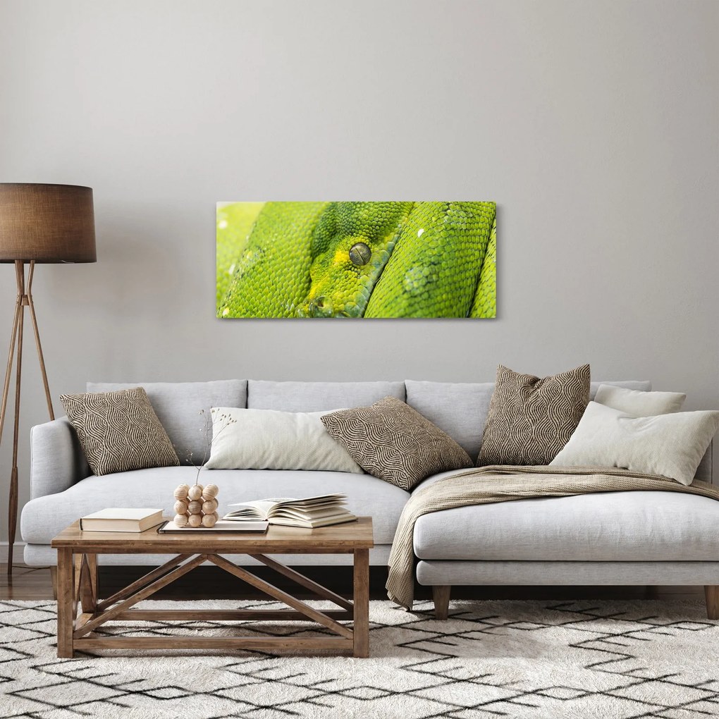 Tablou cu șarpe (120x50 cm)