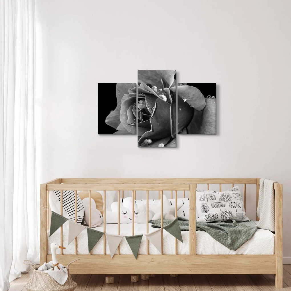 Tablou cu trandafir - albneagră (90x60 cm)