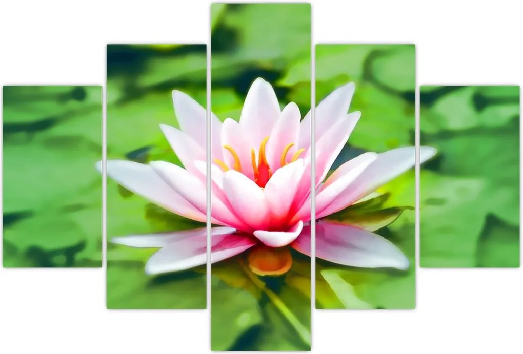 Tablou - Nuferi pe apă (150x105 cm)
