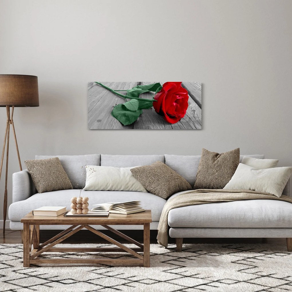 Tablou - Trandafir roșu cu tulpină verde (120x50 cm)
