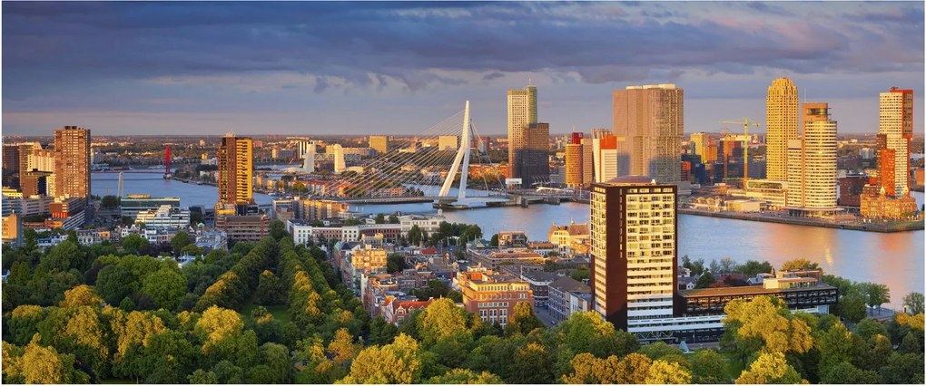 Tablou - Panorama Rotterdamului, Țările de Jos (120x50 cm)