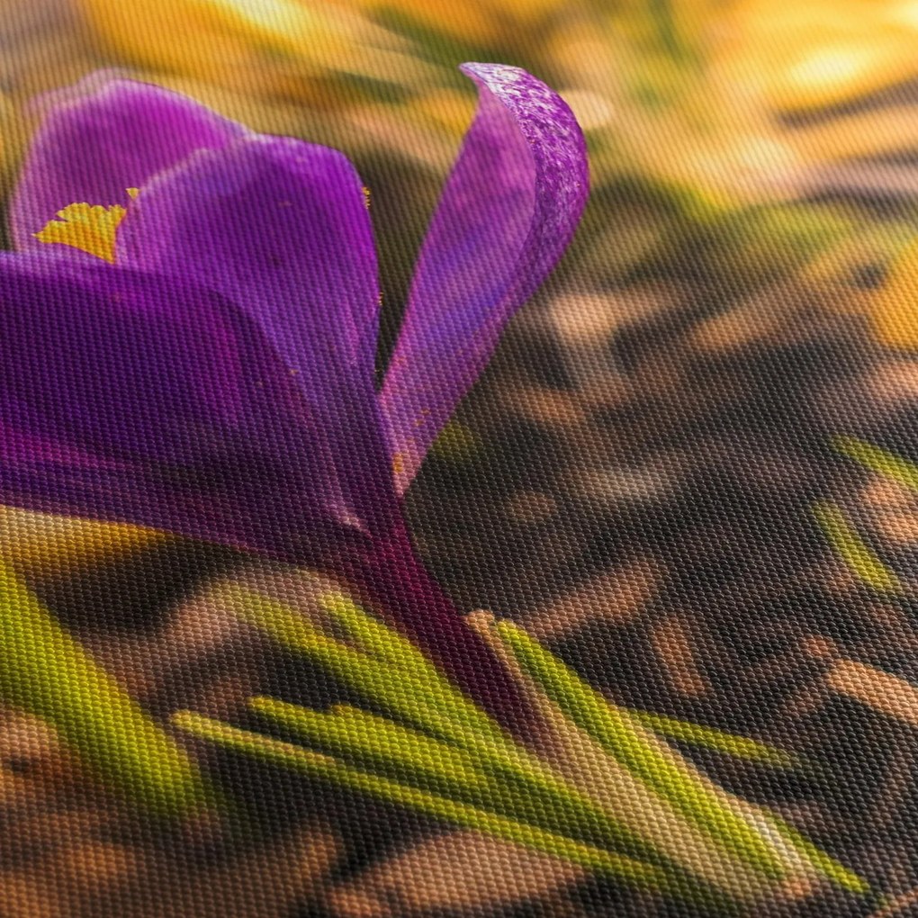 Tablou cu floare violetă (cu ceas) (90x30 cm)