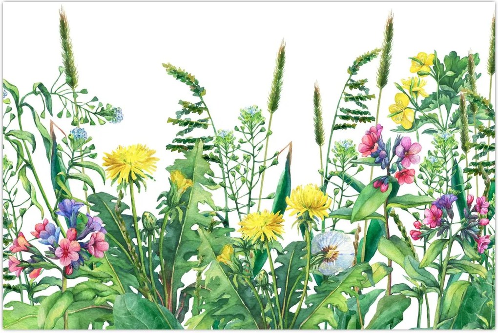 Tablou - Flori de pajiște pictate (90x60 cm)