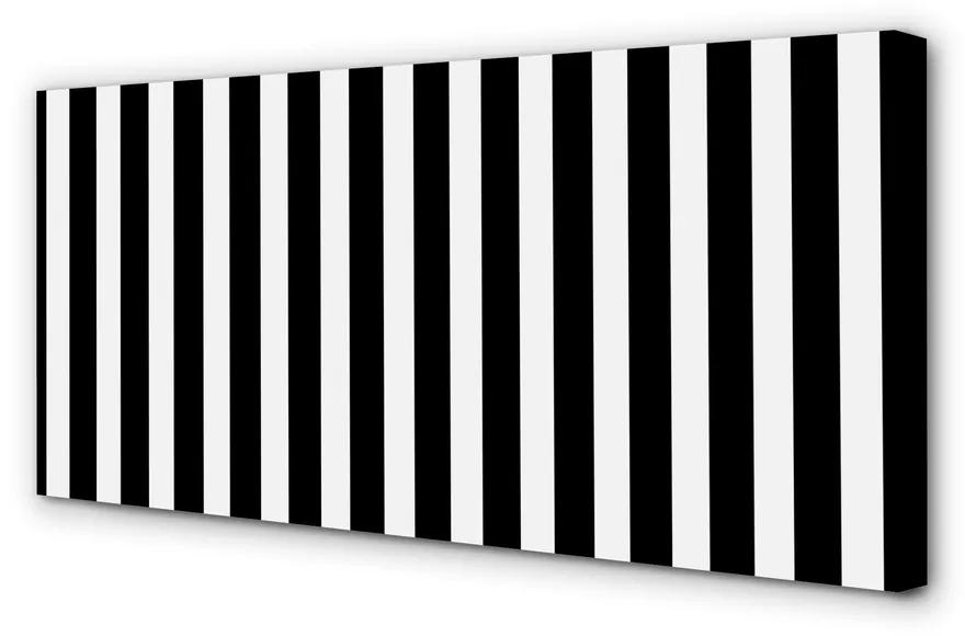 Tablouri canvas dungi zebră geometrice
