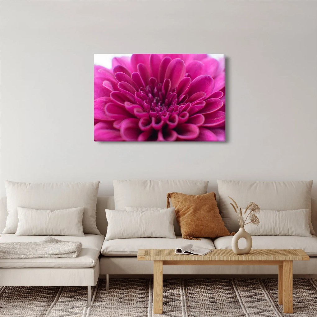 Tablou cu floare (90x60 cm)