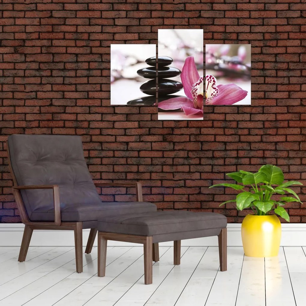 Tablou cupietre pentru masaj și orhidee (90x60 cm)