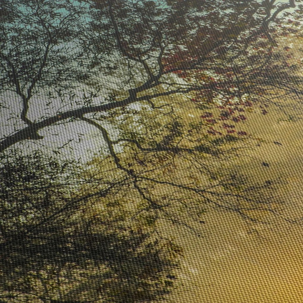 Tablou cu răsărit de soare (70x50 cm)