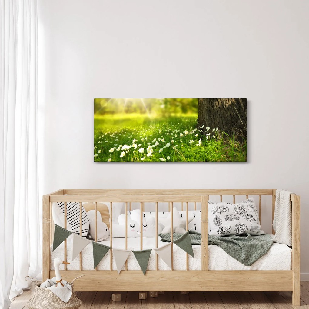 Tablou cu poiana și flori (120x50 cm)