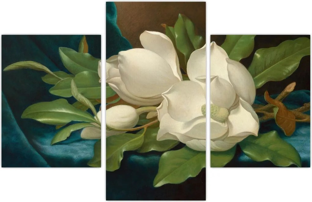 Tablou - Martin Johnson Heade, Giant Magnolias on a Blue Velvet Cloth, reproducere (90x60 cm)