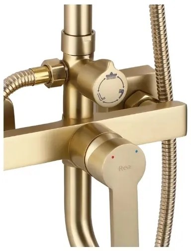 REA-P7841 - Set de duș ARGUS cu baterie, finisaj auriu periat