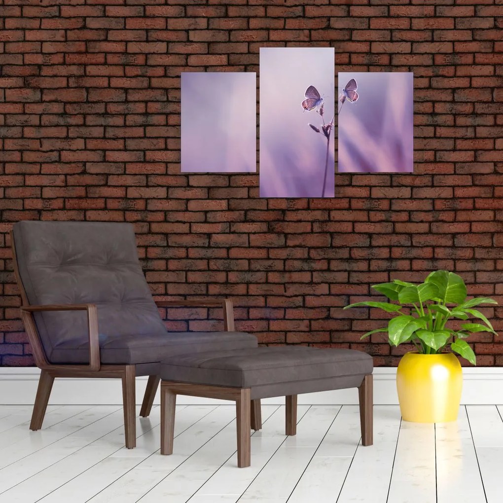 Tablou - Fluturi mov (90x60 cm)