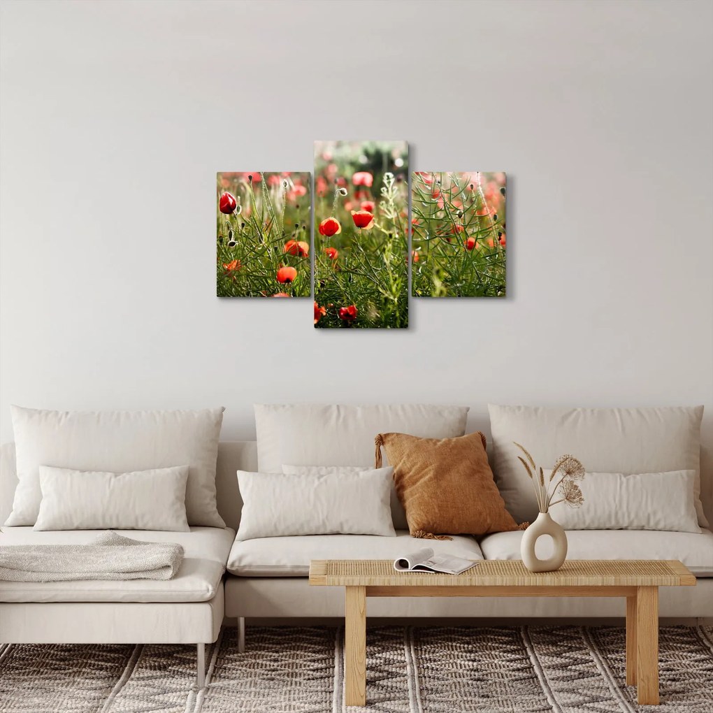 Tablou cu maci (90x60 cm)