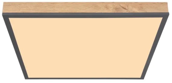 Plafonieră LED DORO LED/24W/230V Globo 416080WD2