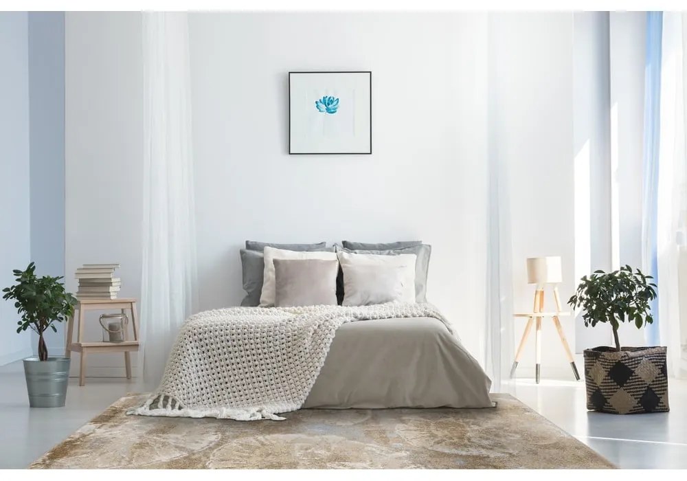 Covor bej 80x120 cm Avanti – FD