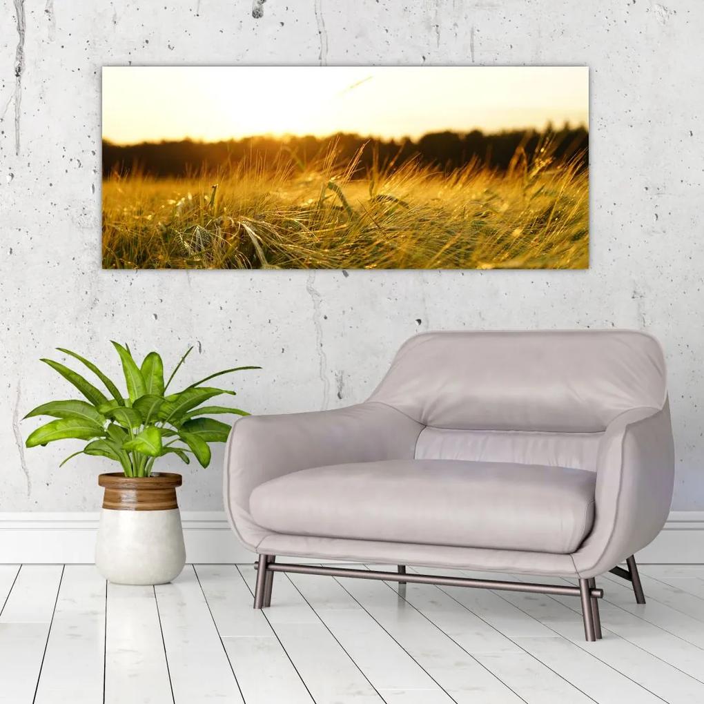 Tablou  iarba cu rouă (120x50 cm), în 40 de alte dimensiuni noi