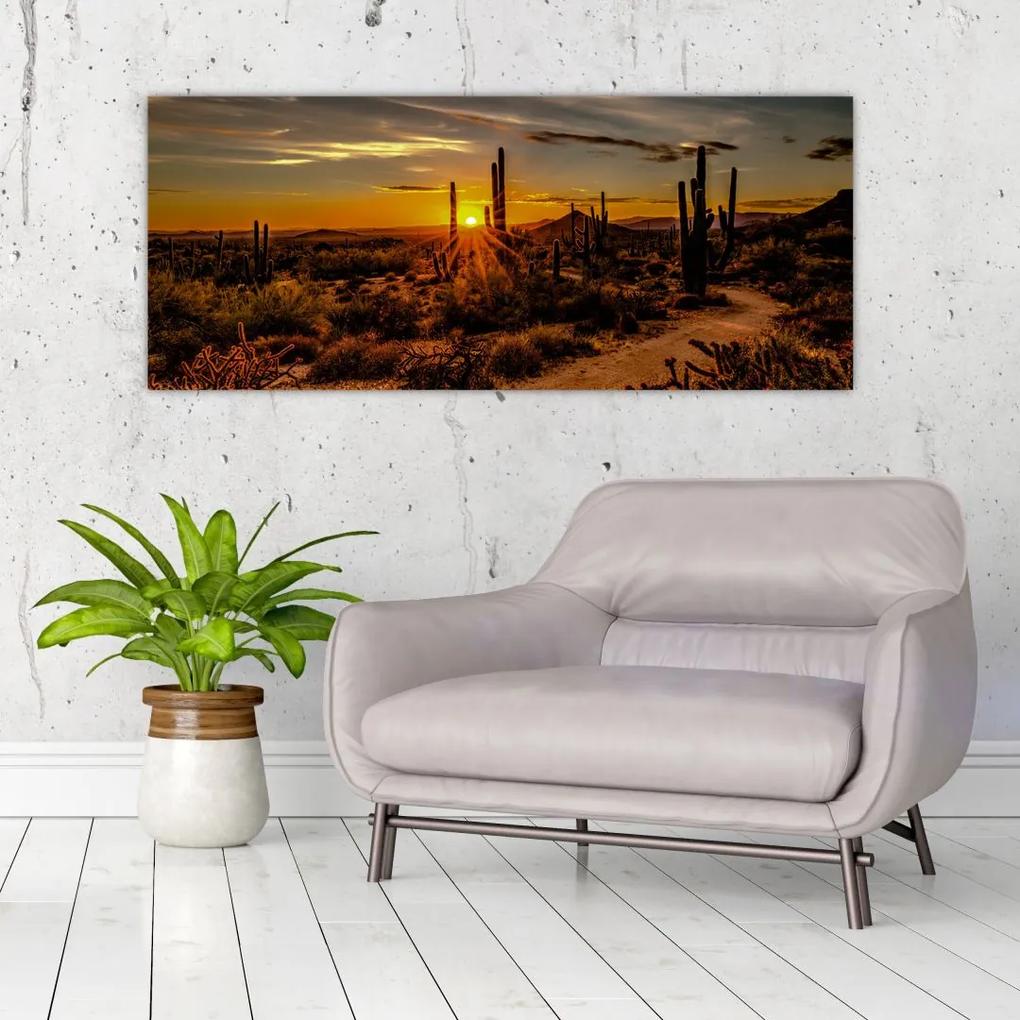 Tablou - Sfărșit de zi în deșertul Arizona (120x50 cm), în 40 de alte dimensiuni noi
