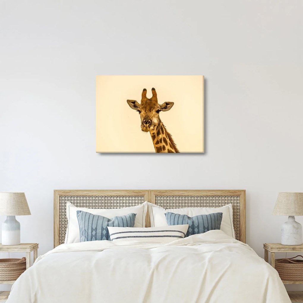 Tablou cu girafe (70x50 cm)