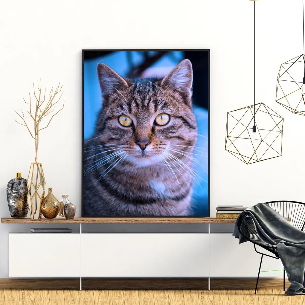 Poster - Pisica (A4)