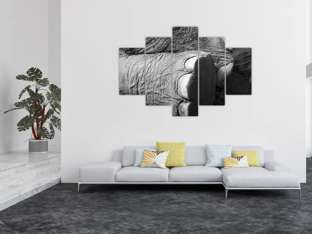 Tablou - Picior de elefant (150x105 cm)