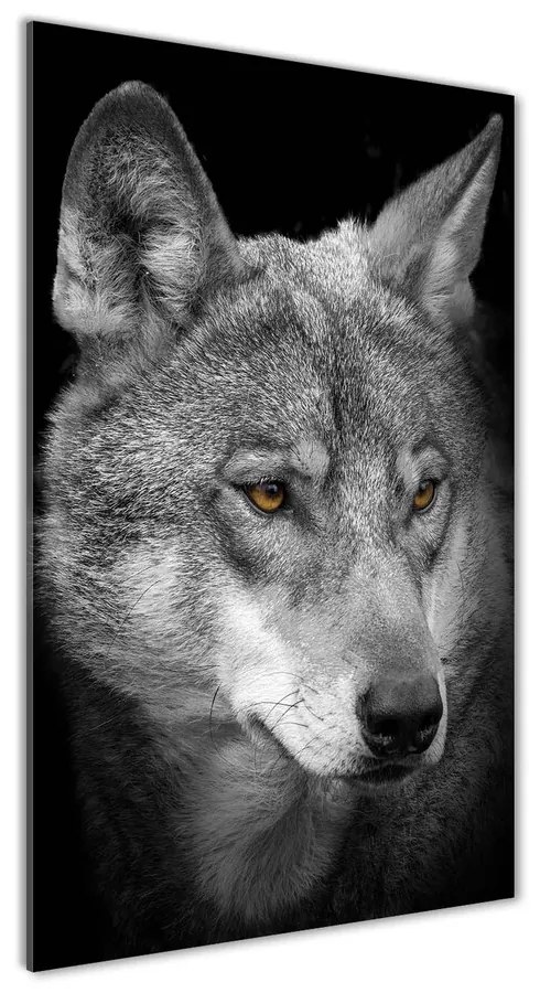 Tablou acrilic Portret de lup