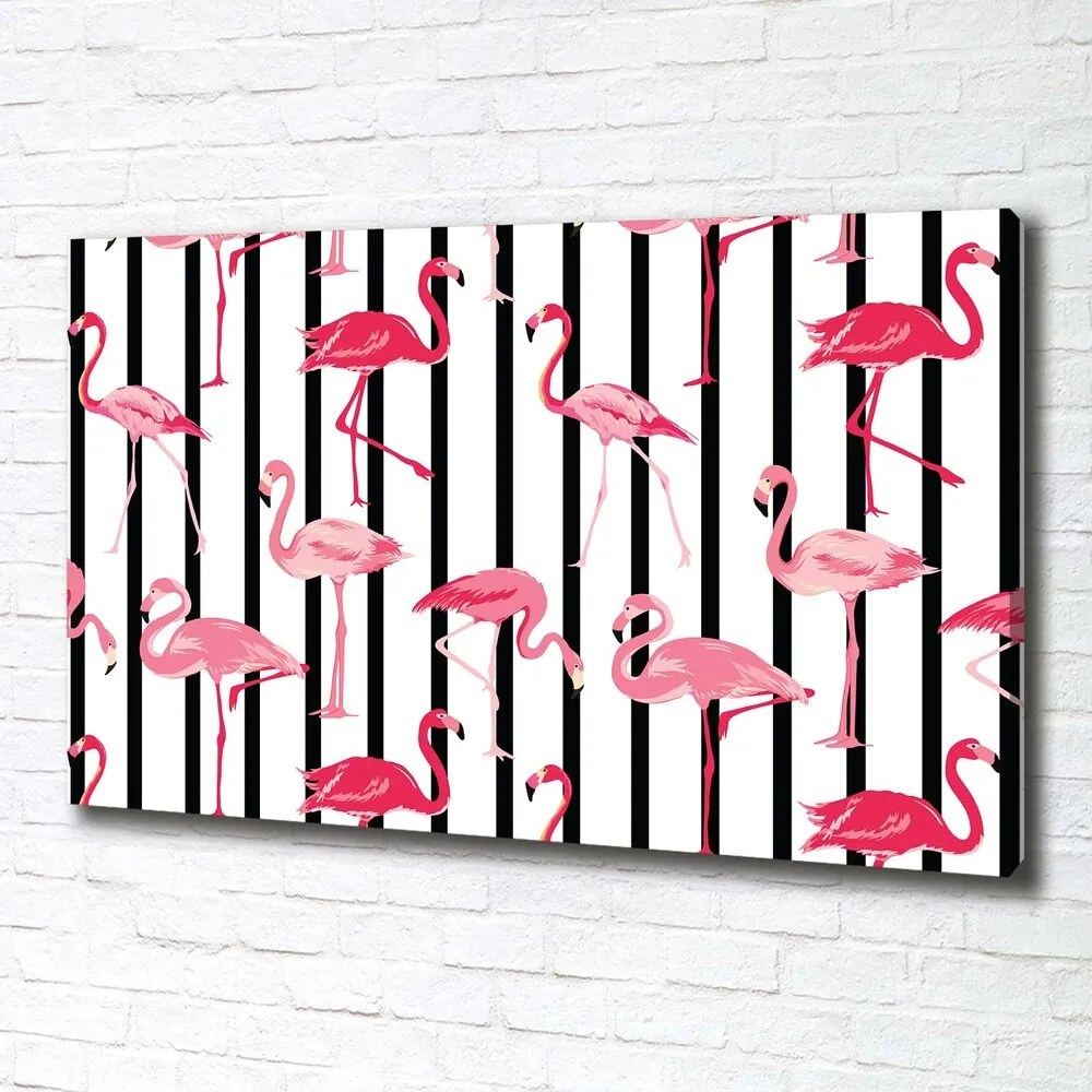 Imprimare tablou canvas Baruri flamingos