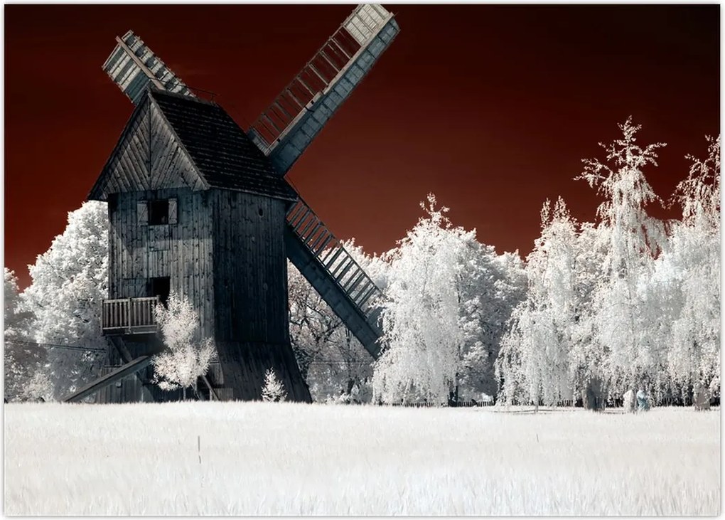 Tablou cu moară (70x50 cm)