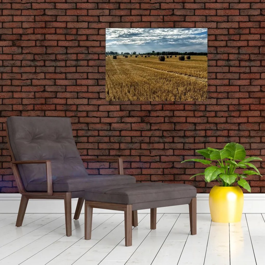 Tablou cu câmp recoltat (70x50 cm)