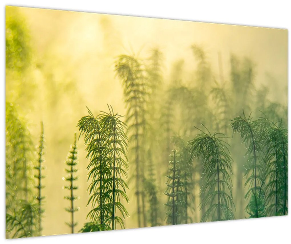 Tablou - Detaliu de primăvară natura cețoasă (90x60 cm)