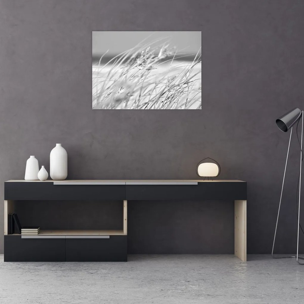 Tablou pe sticlă - Iarbă de plajă (70x50 cm)