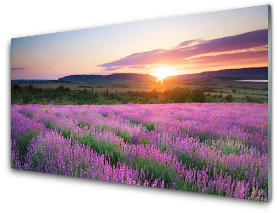 Tablouri acrilice Soare Meadow Flori Natura Galben Roz Verde