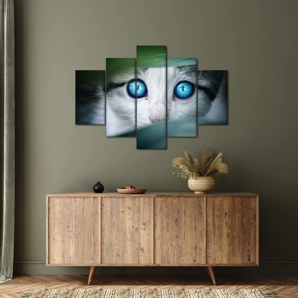 Tablou cu pisica (150x105 cm)