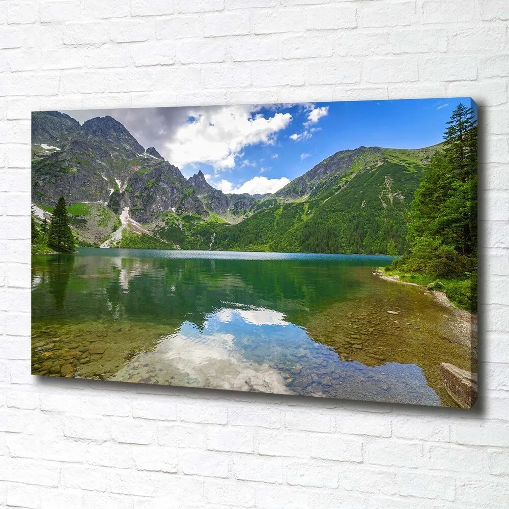Imprimare tablou canvas Marine ochi tatry