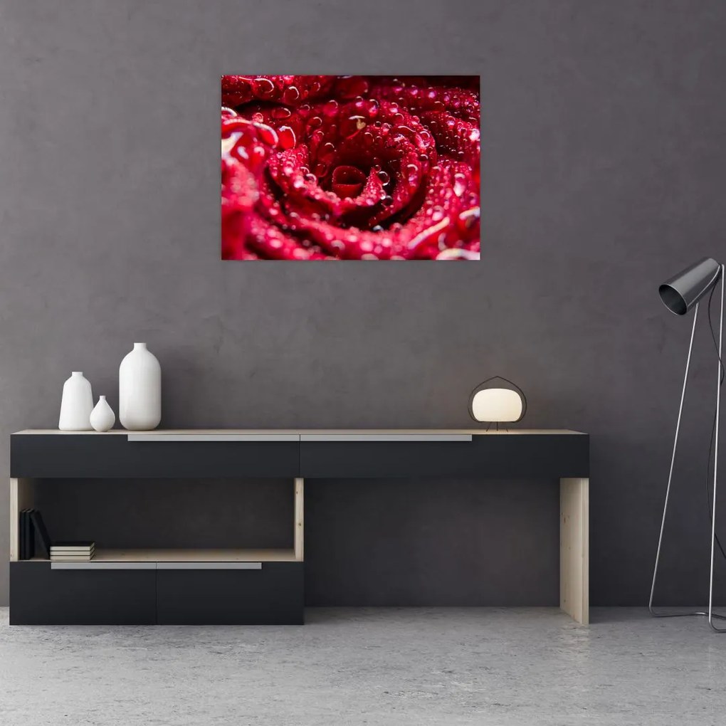 Tablou cu floarea trandafirului roșu (70x50 cm)