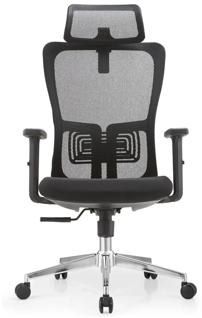 Scaun ergonomic Dana-H, Mesh/Textil, Negru