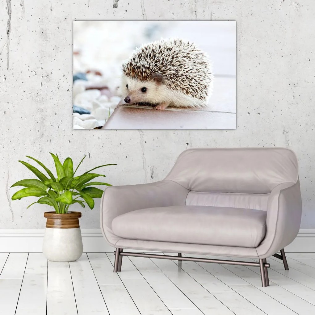 Tablou cu arici (90x60 cm)