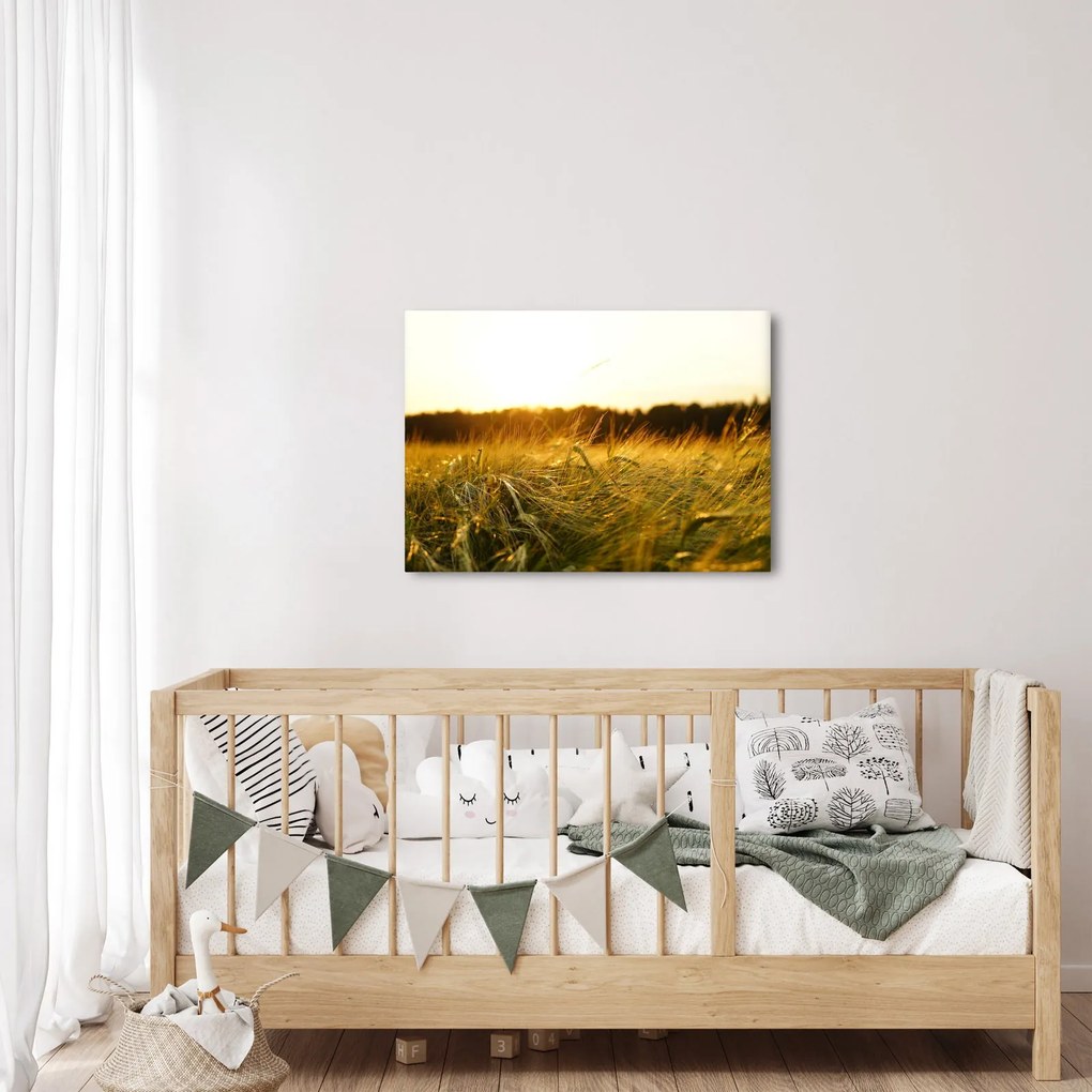 Tablou iarba cu rouă (70x50 cm)