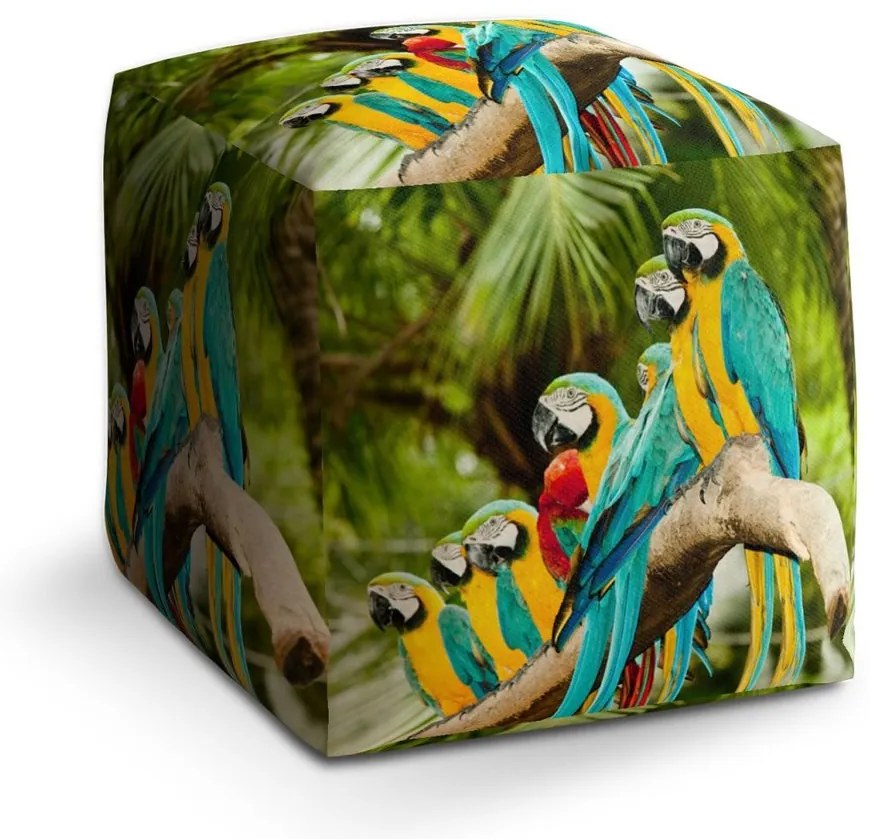 Taburet Cube papagali pe ramură, colorat