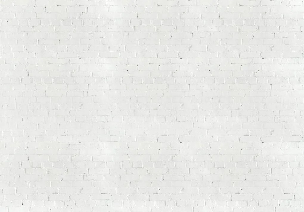Fototapet - Cărămozi albe (152,5x104 cm)