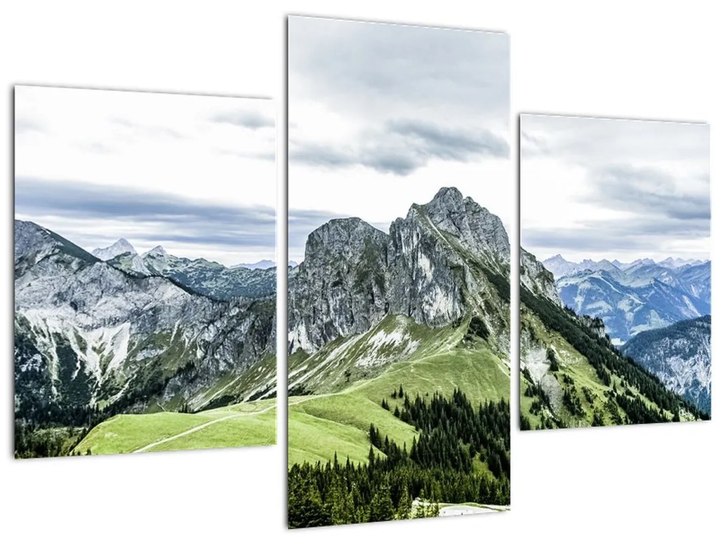 Tablou - Crestele munților (90x60 cm)