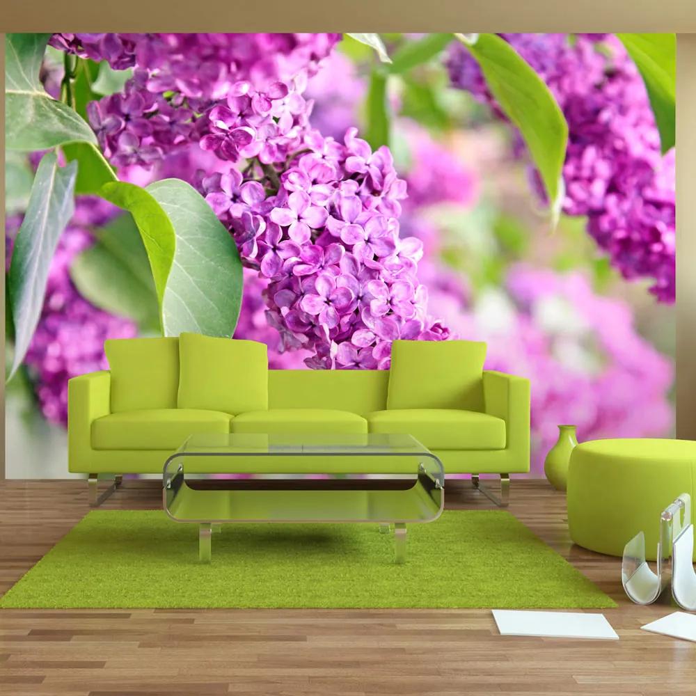 Fototapet Bimago - Lilac flowers + Adeziv gratuit 400x280 cm