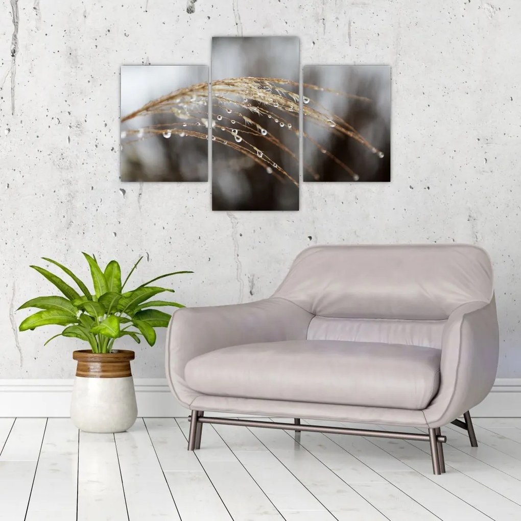 Tablou - Picături pe plantă (90x60 cm)