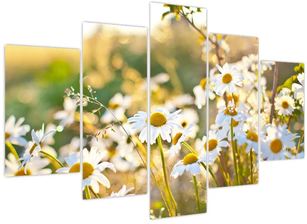 Tablou - Margarete (150x105 cm)